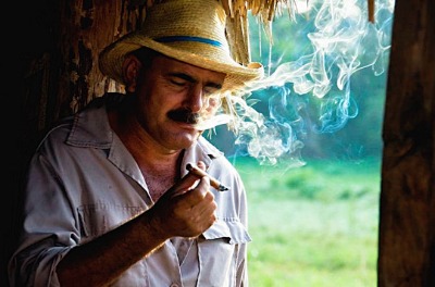 Discover VIÑALES: Contatino che fuma con gusto un sigaro cubano