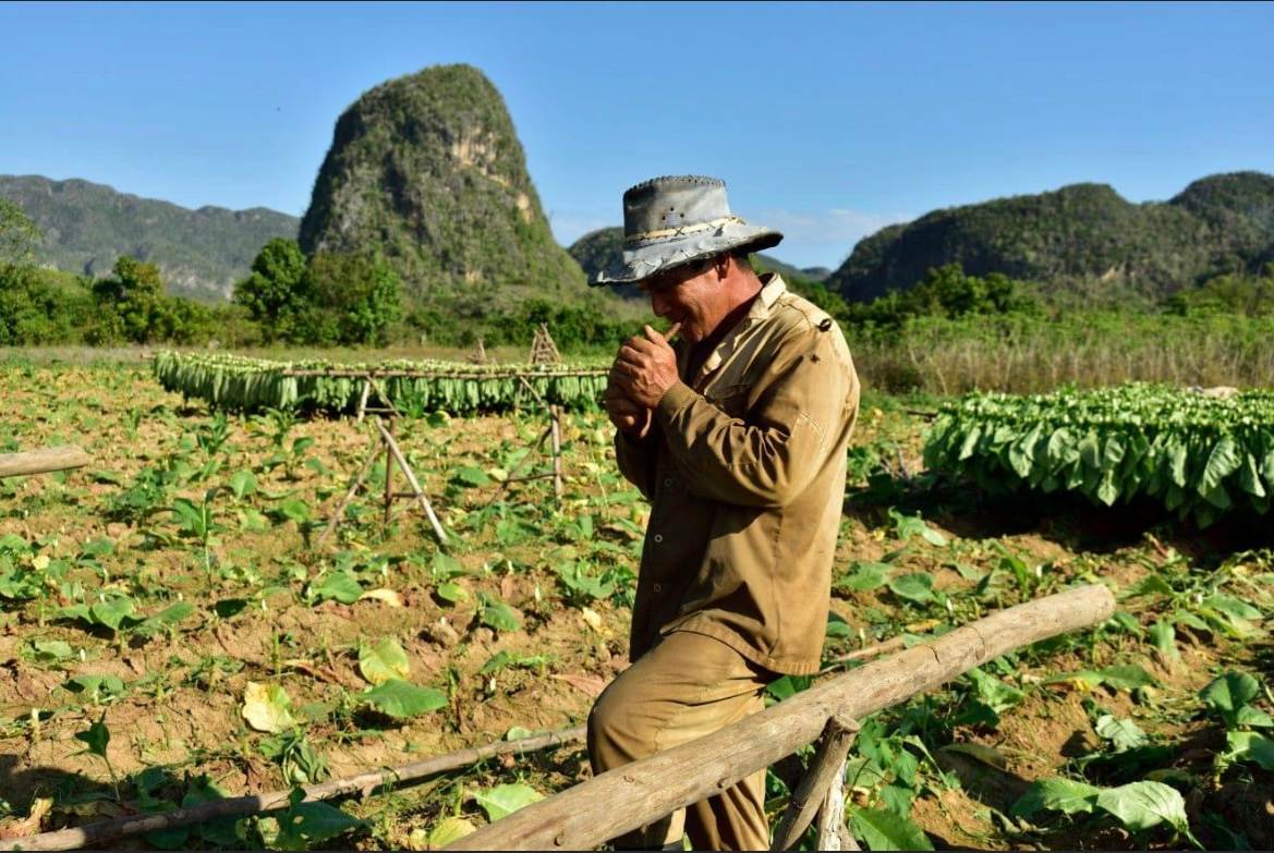 Discover VIÑALES portfolio: tipici momenti della Vita Agricola a Cuba